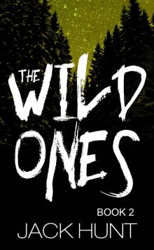The Wild Ones (Book 2) Read online