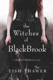 The Witches of BlackBrook Read online
