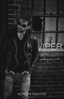 Viper (NSB Book 3)