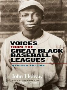 Voices from the Great Black Baseball Leagues