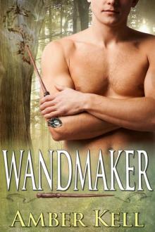 Wandmaker Read online