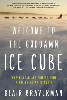 Welcome to the Goddamn Ice Cube