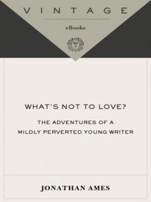 What's Not to Love?: The Adventures of a Mildly Perverted Young Writer Read online