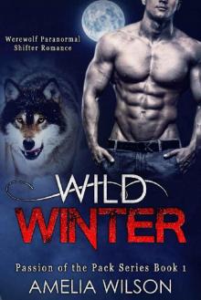 Wild Winter Read online