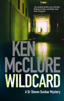 Wildcard sd-3 Read online