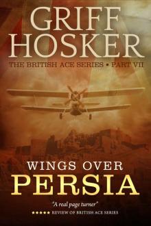 Wings Over Persia (British Ace Book 7)