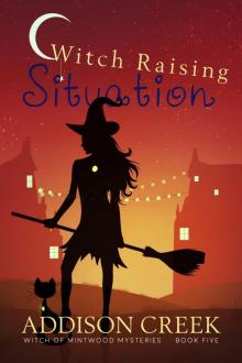 Witch Raising Situation (Witch of Mintwood Book 5) Read online