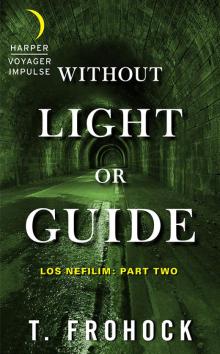 Without Light or Guide Read online