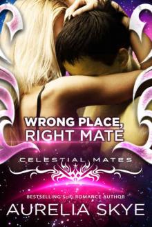 Wrong Place, Right Mate (Celestial Mates)