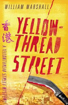 Yellowthread Street Read online