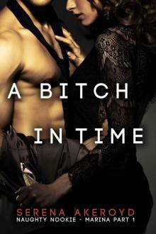 A Bitch In Time (Marina: Part One: Naughty Nookie Series) Read online