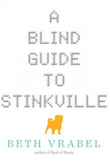 A Blind Guide to Stinkville Read online