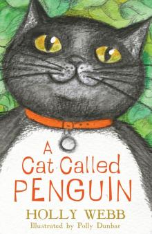 A Cat Called Penguin Read online