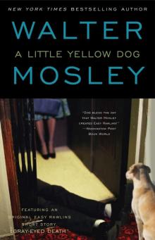 A Little Yellow Dog Read online