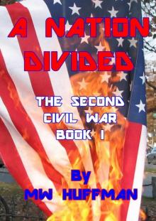 A NATION DIVIDED - THE SECOND CIVIL WAR (The Second Civil War - BOOK I 1) Read online