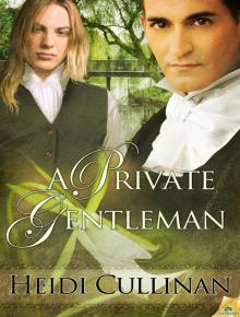 A Private Gentleman Read online