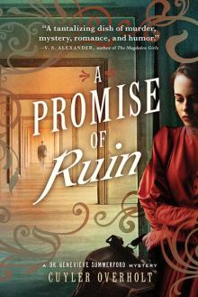 A Promise of Ruin Read online