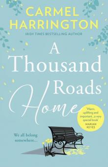 A Thousand Roads Home Read online
