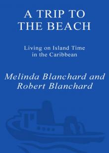 A Trip to the Beach Read online