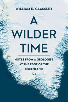 A Wilder Time Read online