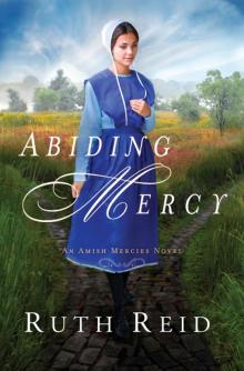 Abiding Mercy Read online