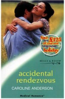Accidental Rendezvous Read online