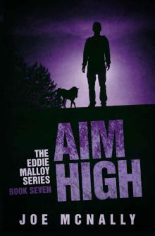 Aim High (The Eddie Malloy series Book 7)