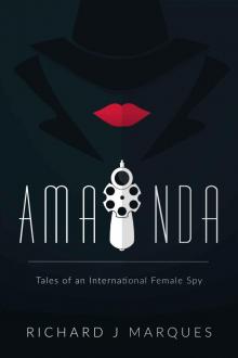 Amanda: Tales of an international female spy Read online