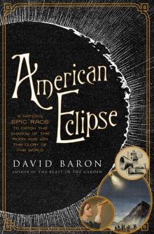 American Eclipse Read online