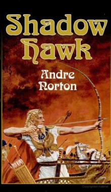 Andre Norton - Shadow Hawk Read online