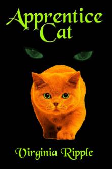 Apprentice Cat: Toby's Tale Book 1 (Master Cat Series) Read online