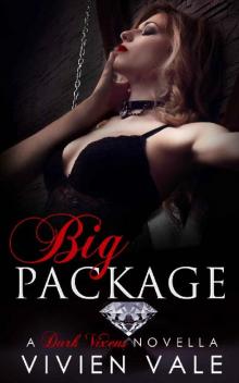 Big Package_A Dark Vixens Novella Read online