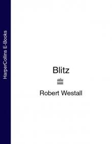 Blitz Read online