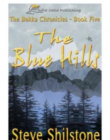Blue Hills Read online
