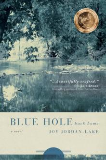 Blue Hole Back Home Read online