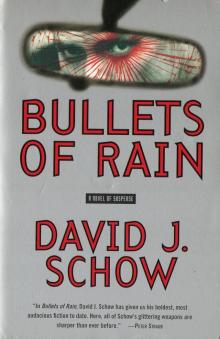 Bullets of Rain Read online