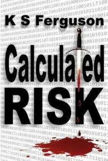 Calculated Risk Read online