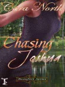 Chasing Joshua Read online