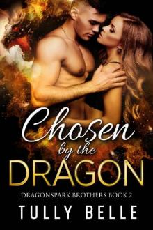 Chosen by the Dragon (Dragonspark Brothers Book 2) Read online