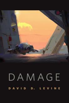 Damage Read online