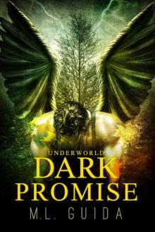 Dark Promise Read online