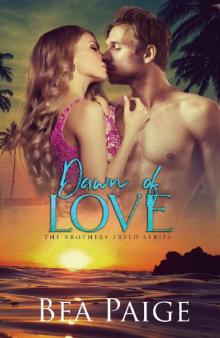 Dawn of Love_A contemporary reverse harem romance