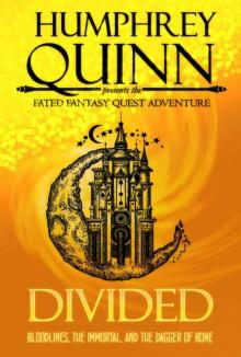 Divided (Bloodlines, The Immortal, and The Dagger of Bone) (A Fated Fantasy Quest Adventure Book 5) Read online