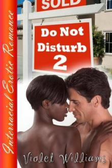 Do Not Disturb 2 Read online