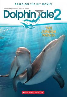 Dolphin Tale 2