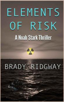 Elements of Risk: A Noah Stark Thriller