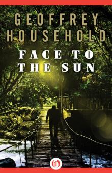 Face to the Sun Read online