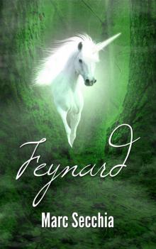 Feynard Read online