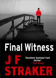 Final Witness Read online
