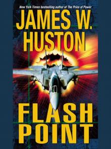 Flash Point Read online